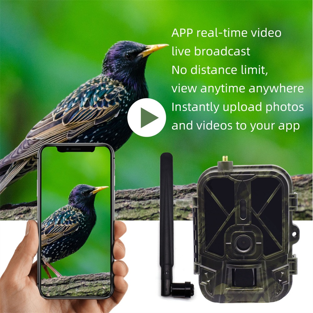 Outdoor 4G 120MP 4K Live Show  - Hunting Outdoor Shows reseña y precio