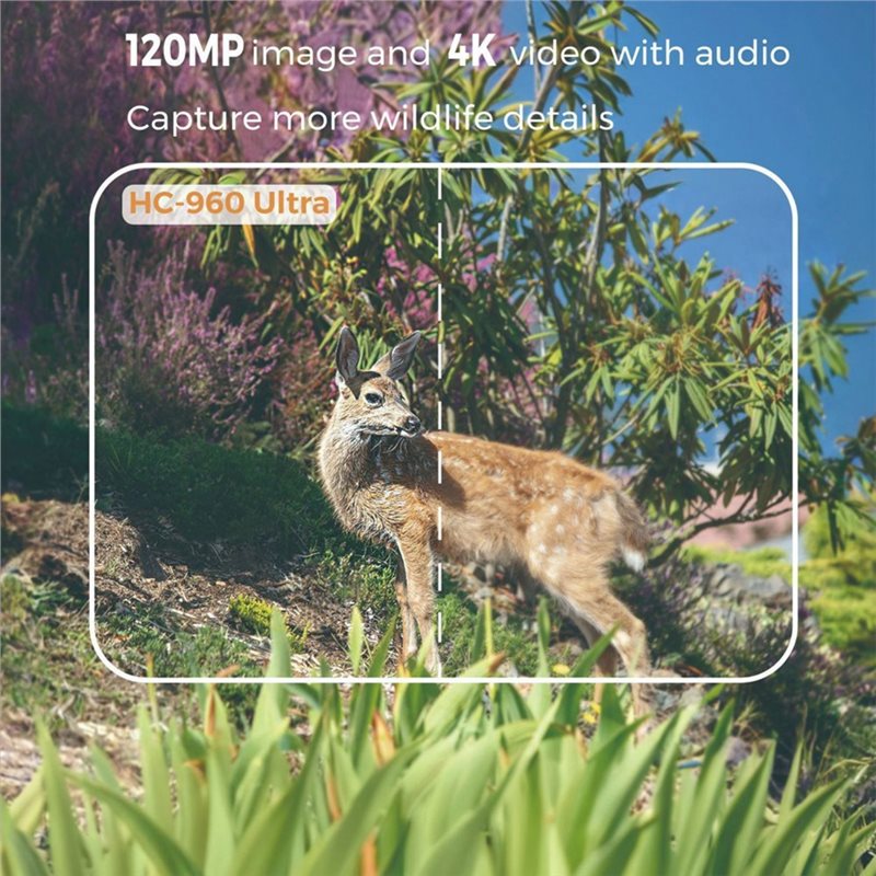 A99E-Outdoor 4G 120MP 4K Live  - Hunting Outdoor Shows reseña y precio